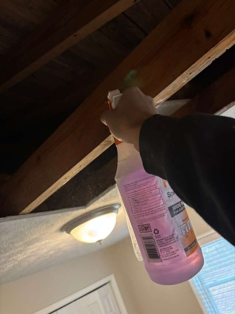 URI Painting & Renovation LLC