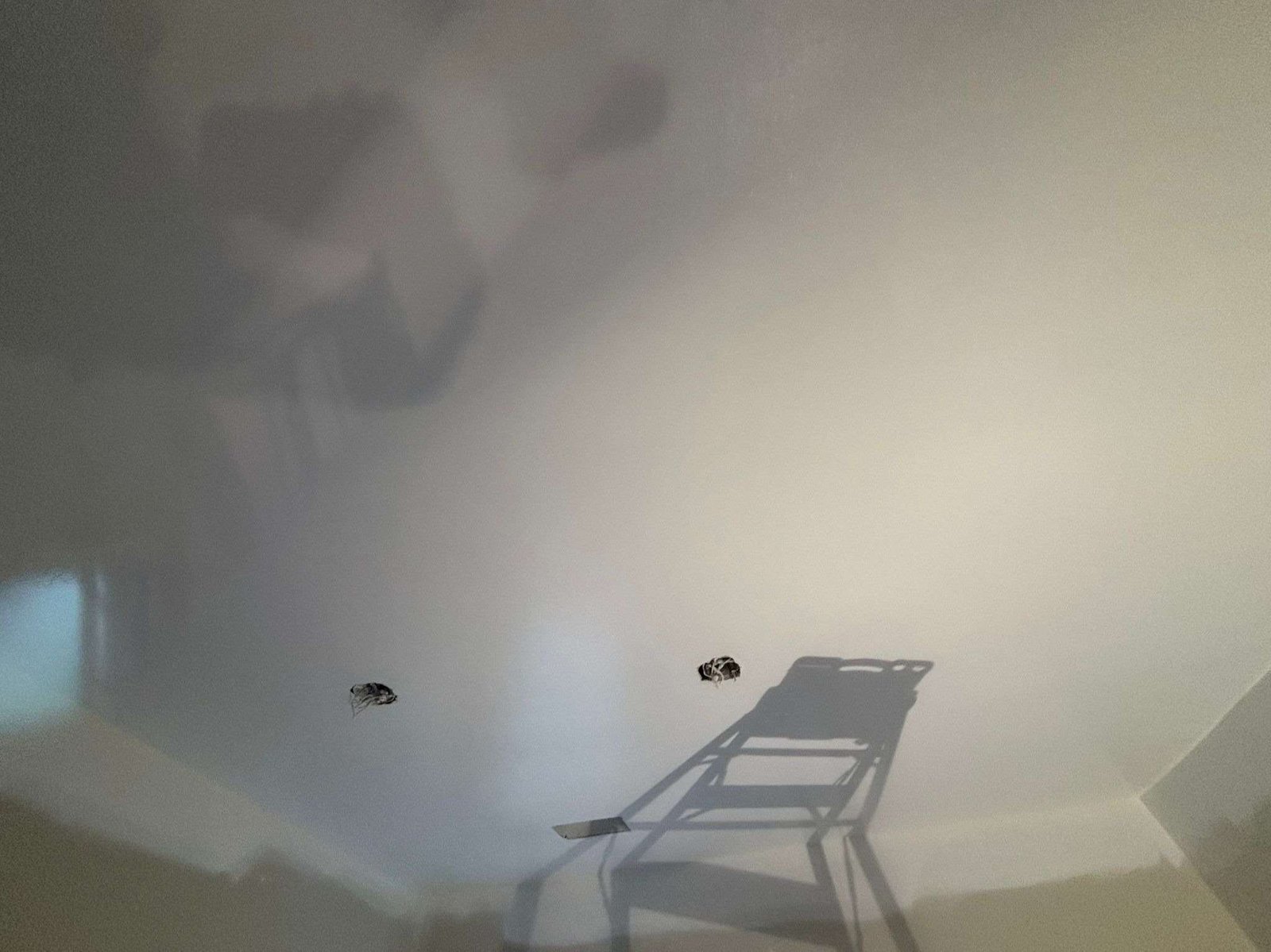 URI Painting & Renovation LLC