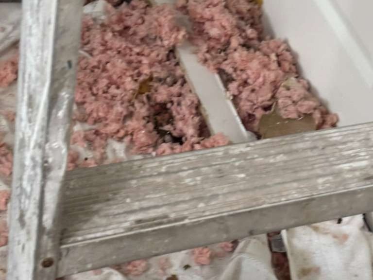 URI Painting & Renovation LLC